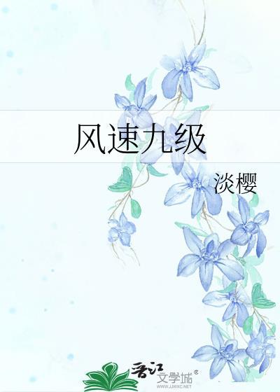 9级风速