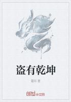 武盗乾坤