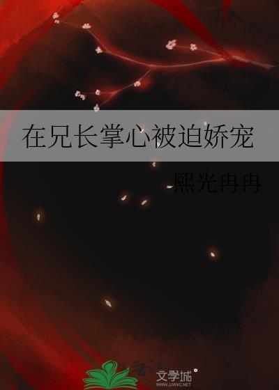 兄长在上全文阅读格格党
