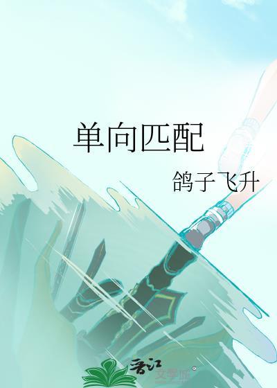 单向匹配鸽子飞升