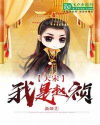大宋之我是赵匡胤