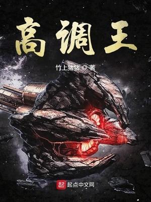 高调王txt精校