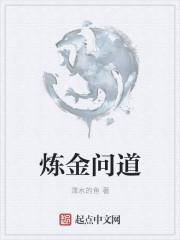 问道炼金套用什么材料