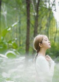 锦衣卫指挥使顾昀